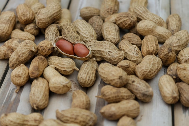 Alternative Proteins
